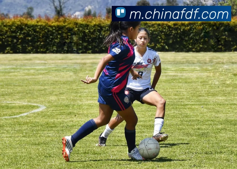 App Interface Preview